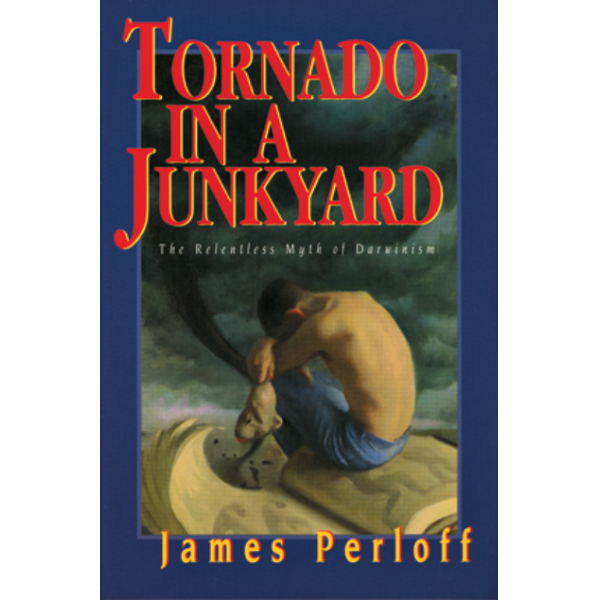 Tornado in a Junkyard