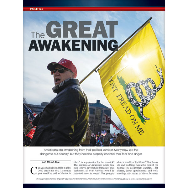 The Great Awakening Reprint