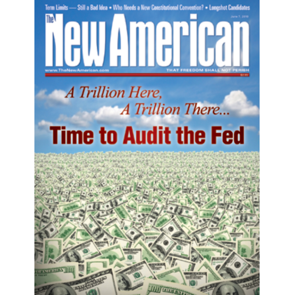 The New American - June 7, 2010